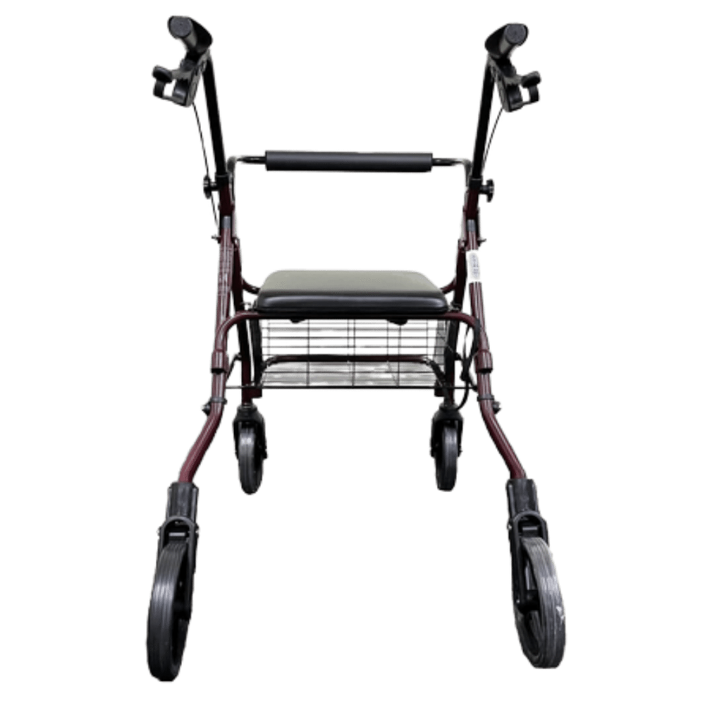 Rollator walker with seat, back view